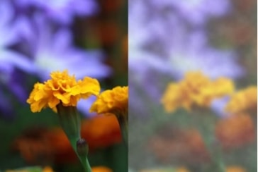 Symptoms of Cataract